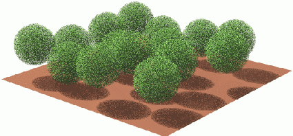 Heterogeneous finite-sized (discrete) foliage representations